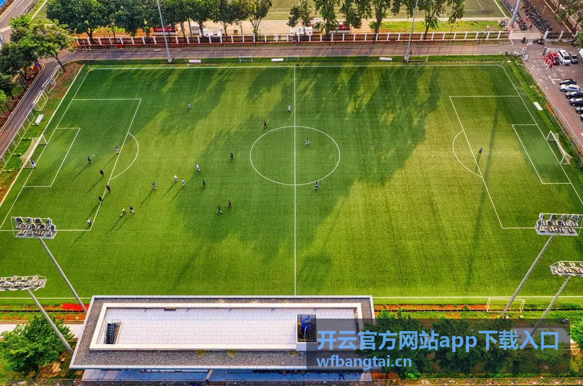 开云官方网站app下载入口安装权限说明